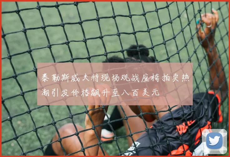 泰勒斯威夫特现场观战座椅拍卖热潮引发价格飙升至八百美元