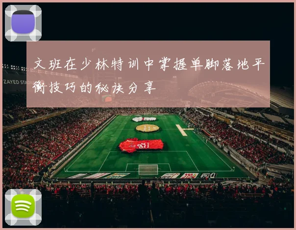 文班在少林特训中掌握单脚落地平衡技巧的秘诀分享
